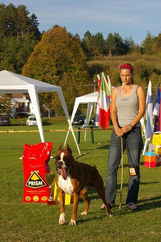 www.boxer-show.eu